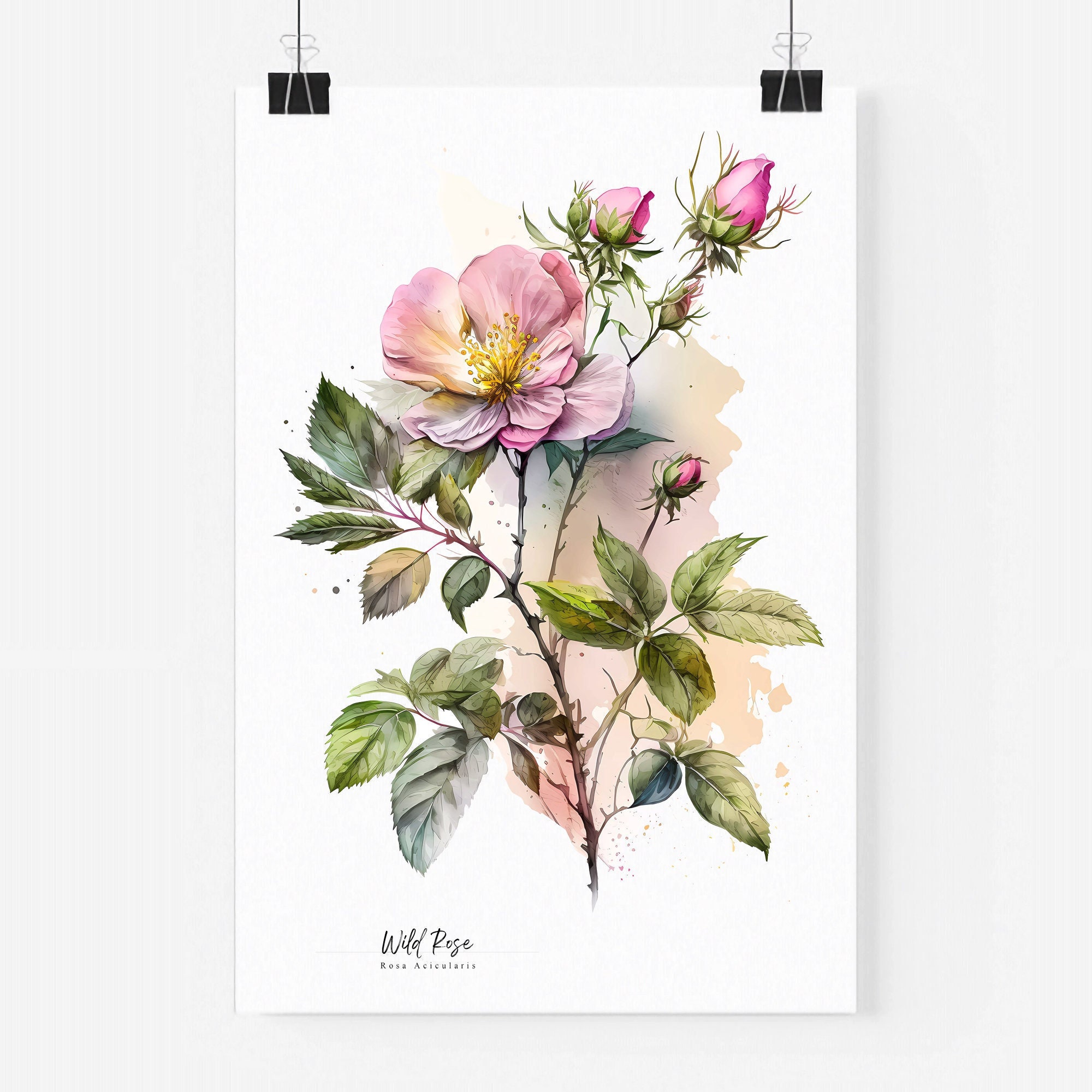 絵画 rose botanique Wild Rose - Rosa Acicularis - DIY Printable Art - Botanical Art