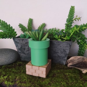May include: A green ceramic pipe planter with a brick base, holding a small succulent plant. The planter is sitting on a bed of green moss, next to a gray planter with a succulent plant.
