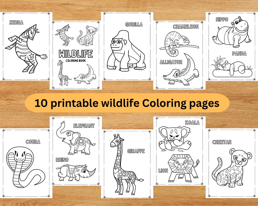 Wildlife Printable Coloring Book! | 10 Pages of Adorable Illustrations ...