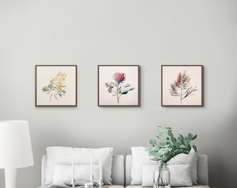 Paquete de 3 flores nativas australianas Impresión digital de acuarela