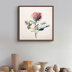 May include: A framed botanical illustration of a pink and green protea flower with a white background.