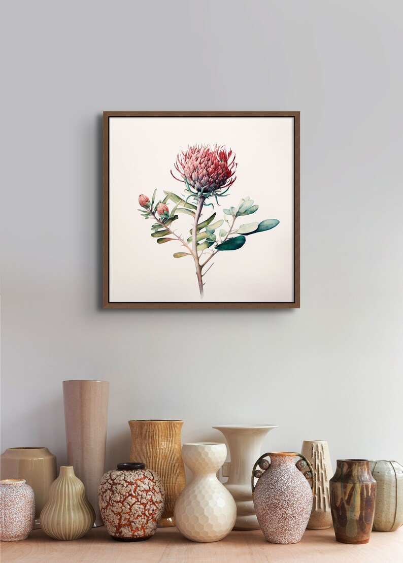 May include: A framed botanical illustration of a pink and green protea flower with a white background.