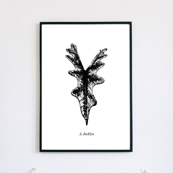 Alocasia Jacklyn Print | Alocasia Jacklyn Leaf Art | Alocasia Enthusiast | Tropical Plant Art | Alocasia Art | Alocasia Print | Plant Art