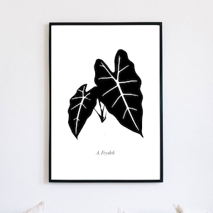 Alocasia Frydek Print | Alocasia Frydek Leaf Art | Alocasia Enthusiast | Tropical Plant Art | Alocasia Art | Alocasia Print | Plant Art