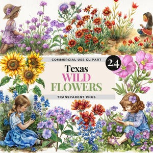 Texas Wildblumen Aquarell Clipart Sammlung, botanische Blumenillustrationen für Hochzeiten, Frühlingsdekor, DIY und digitales Kunsthandwerk