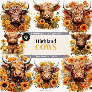 Clipart di mucche delle Highlands con girasole, fiori primaverili acquerellati, clipart di vitelli, clipart di giardino primaverile, illustrazioni di animali da fattoria