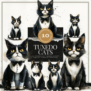 Tuxedo Cat Clipart, Black and White, Animal Illustration, Cat Breed, Fur Baby, Watercolor, Printable Art, Commercial Use, INSTANT DOWNLOAD