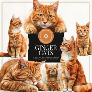 Ginger Cat Clipart, Tabby Cat, Orange and White, Pet Animal design, Fur Baby, Watercolor, Printable Art, Commercial Use, INSTANT DOWNLOAD