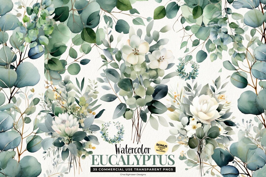 Watercolor Eucalyptus Leaves Clipart, Wedding Florals, Digital Download ...
