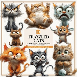 Frazzled Cat Clip Art, Stressed Cat Illustrations, Funny Feline Designs, Quirky Cat Png for Sublimation, Whimsical Kitten Graphics