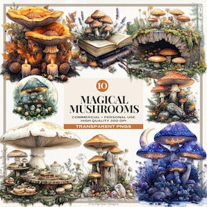 Bundle de clipart champignons mystiques magiques, aquarelle champignon vénéneux PNG, forêt enchantée Png Clip Art, Cottagecore naturel PNG conceptions numériques