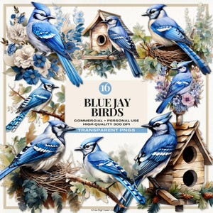 Clipart geai bleu, graphiques floraux oiseaux bleus, clipart oiseau bleu, maisons d'oiseaux, nids d'oiseaux, illustrations florales, faire-part de baby shower.