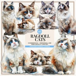 Chat ragdoll, illustration de chat aquarelle aux yeux bleus, décoration de chambre d'enfant, amoureux des animaux de compagnie png, art mural imprimé animal, png Blue Point, point brun