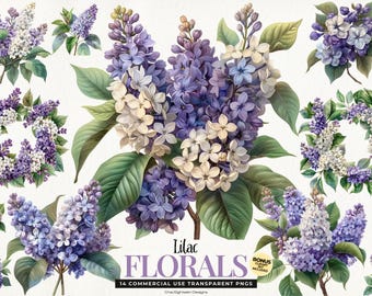 Akvarell lila blommor Clipart, lila blommor PNG, botaniska illustrationer, vårblommor för bröllopsinbjudningar, dekor och sublimering