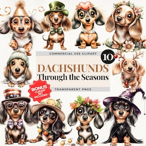 Dackel Hund saisonales Png-Bundle, Dackel Outfits Clipart, Doxie Dackel Festliche Grafiken, Hundeliebhaber T-Shirt Png, Weihnachtshund Art