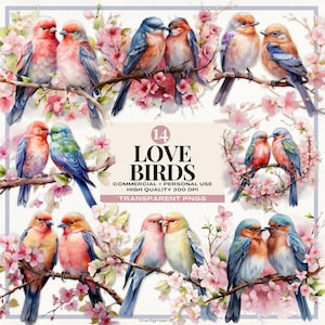 Clip Art PNG Uccelli innamorati romantici con decorazioni floreali Clipart di San Valentino Uccelli da matrimonio Inviti Uccelli colorati Clipart coppia