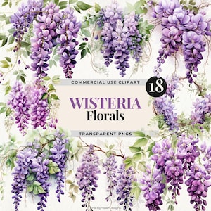 Clipart fleur de glycine mauve, images PNG glycine aquarelle, fleurs violettes, branches de glycine Png, clipart fleur, fleurs de scrapbooking