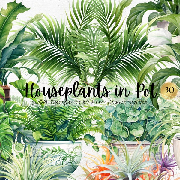 Watercolor Houseplants in Pot clipart, Printable Nature Botanical Png, Green Indoor Plant Art Print Digital Download Svg Free Commercial Use