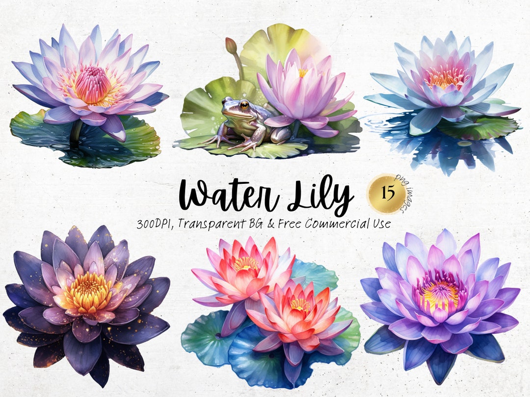 Watercolor Water Lily Clipart, Printable Purple Pink Lotus Flowers Art ...