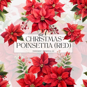 Acquerello Natale Poinsettia Red Clipart, Png floreale effimero stampabile, Flower Girl Basket Art Print Download digitale Svg Uso commerciale