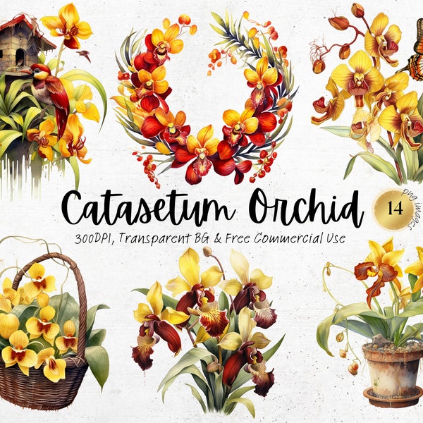 Watercolor Catasetum Orchid Clipart, Printable Yellow Red Spring Flower Art Print Png, Nature Botanical Floral Junk Journal Handmade Svg