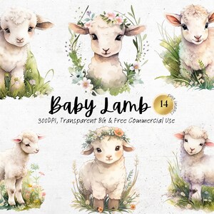 Aquarel baby lam clipart, afdrukbare landbouwhuisdieren, witte schapen boerderij uitnodiging voor douche, decor kwekerij digitale download, commercieel gebruik