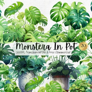 Aquarell Monstera In Topf Clipart, druckbare Natur botanische Png, urban Zimmerpflanze Art Print digitaler Download SVG kostenlose kommerzielle Nutzung