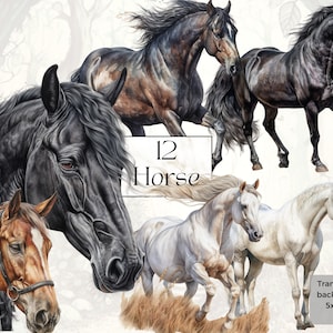 Watercolor Western Farm Horse Png Clipart, Printable Horse Digital Download, Farmhouse Junk Journal Ephemera, Crafting Sublimation Designs