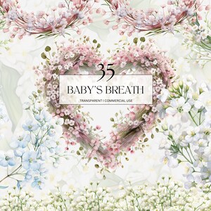 Acuarela bebés aliento clipart, efímera floral botánica imprimible png, flor niña cesta arte impresión digital descargar uso comercial svg