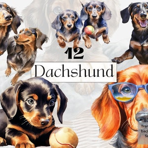 Watercolor Dachshund Clipart, Printable Sausage Dog Png, Dog Mom Lover Art Print Gift, Junk Journal Homemade, Dashchund svg, Commercial Use