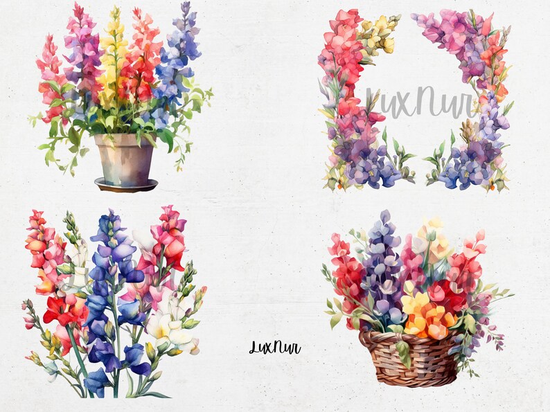 Snapdragon Collage Watercolor Snapdragon Clipart Printable Spring Flowers Art - Etsy