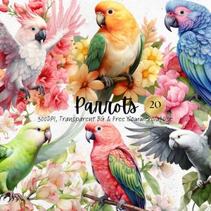 Clipart di pappagalli dell'acquerello, uccelli stampabili che nidificano sull'albero Png, natura floreale botanica stampa artistica download digitale Svg uso commerciale gratuito
