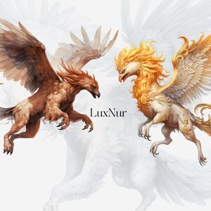 Watercolor Griffin Clipart, Printable Eagle Lion Hybrid Png