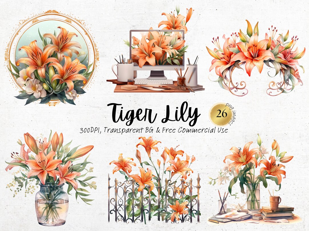 Watercolor Tiger Lily Clipart, Printable Orange Spring Flower Art Print ...