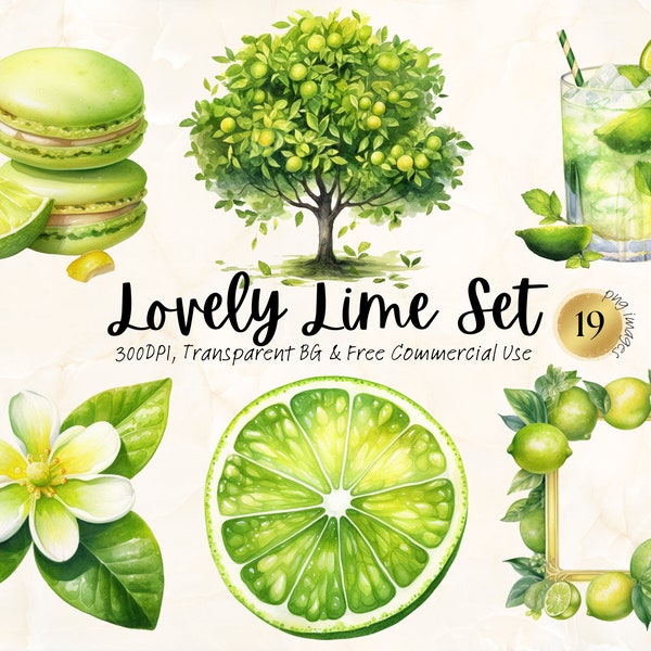 Watercolor Lime Clipart Printable Key Lime Pie Png Citrus Fruit Illustration Digital Download Junk Journal Homemade Free Commercial Use Svg