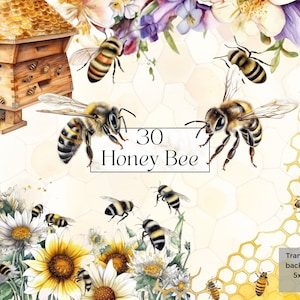 Watercolor Honey Bee Clipart Png, Printable Spring Garden Bumblebee Wall Art Print Decor Svg, Floral Insect Honey Jar Junk Journal Ephemera