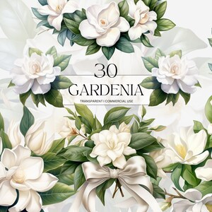 Acuarela Gardenia Clipart imprimible botánico floral efímera Png, naturaleza flor niña cesta arte impresión digital descargar svg uso comercial