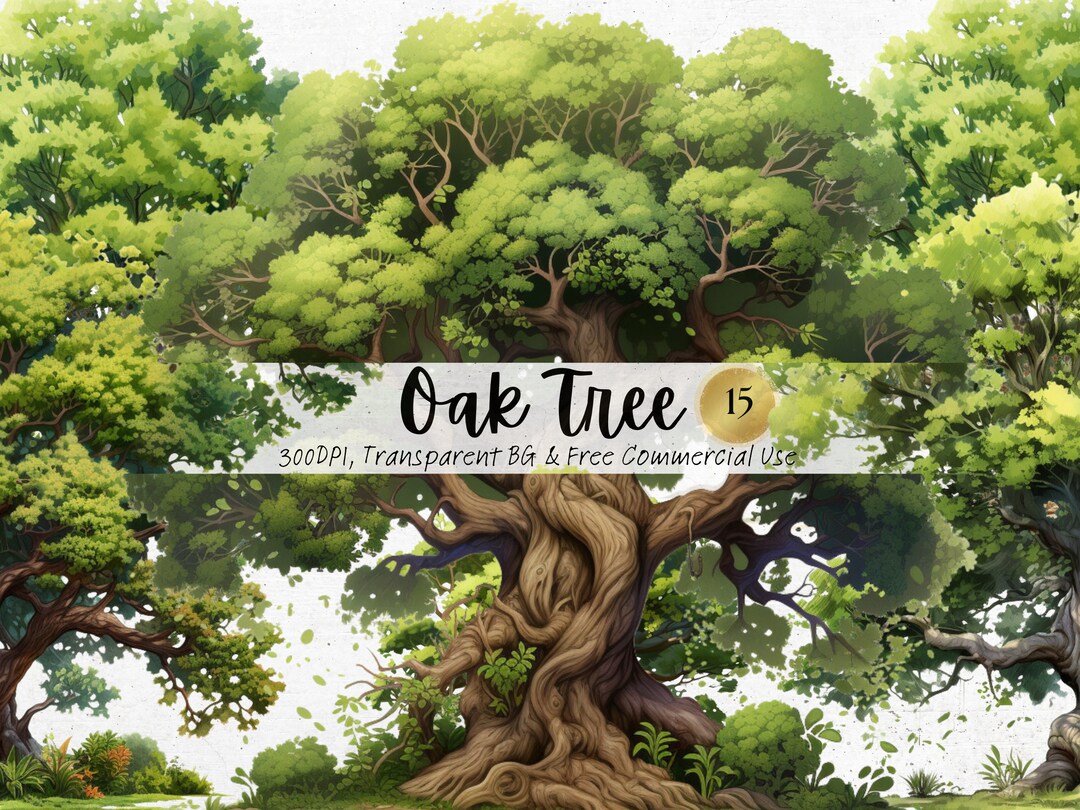 Watercolor Oak Tree Clipart, Printable Tall Green Tree Png, Nature ...