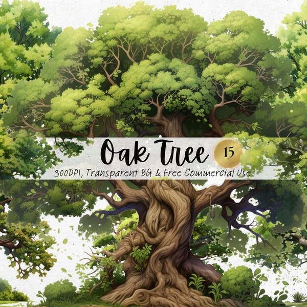 Watercolor Oak Tree clipart, Printable Tall Green Tree Png, Nature Forest Botanical Art Print Digital Download Svg Free Commercial Use