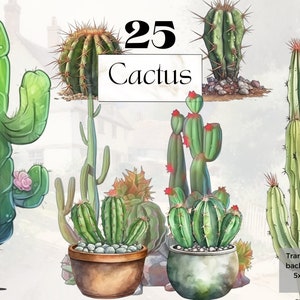 Acuarela lindo cactus Clipart Png, pintura de plantas suculentas del desierto occidental imprimible, svg occidental, diario basura hecho a mano, uso comercial