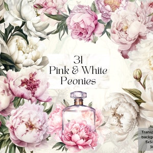 31 Watercolor Pink & White Peonies Png Clipart, Printable Floral Wedding Bouquet Invitation Art Print Gift svg, Flower Junk Journal Ephemera
