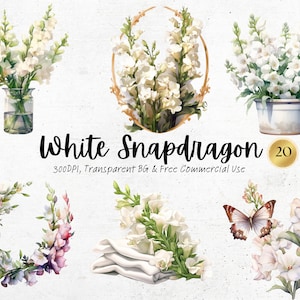 Aquarell Löwenmäulchen Clipart, druckbare weiße Frühlingsblumen Art Print Png, Natur Botanische Junk Journal handgemacht digitaler Download svg