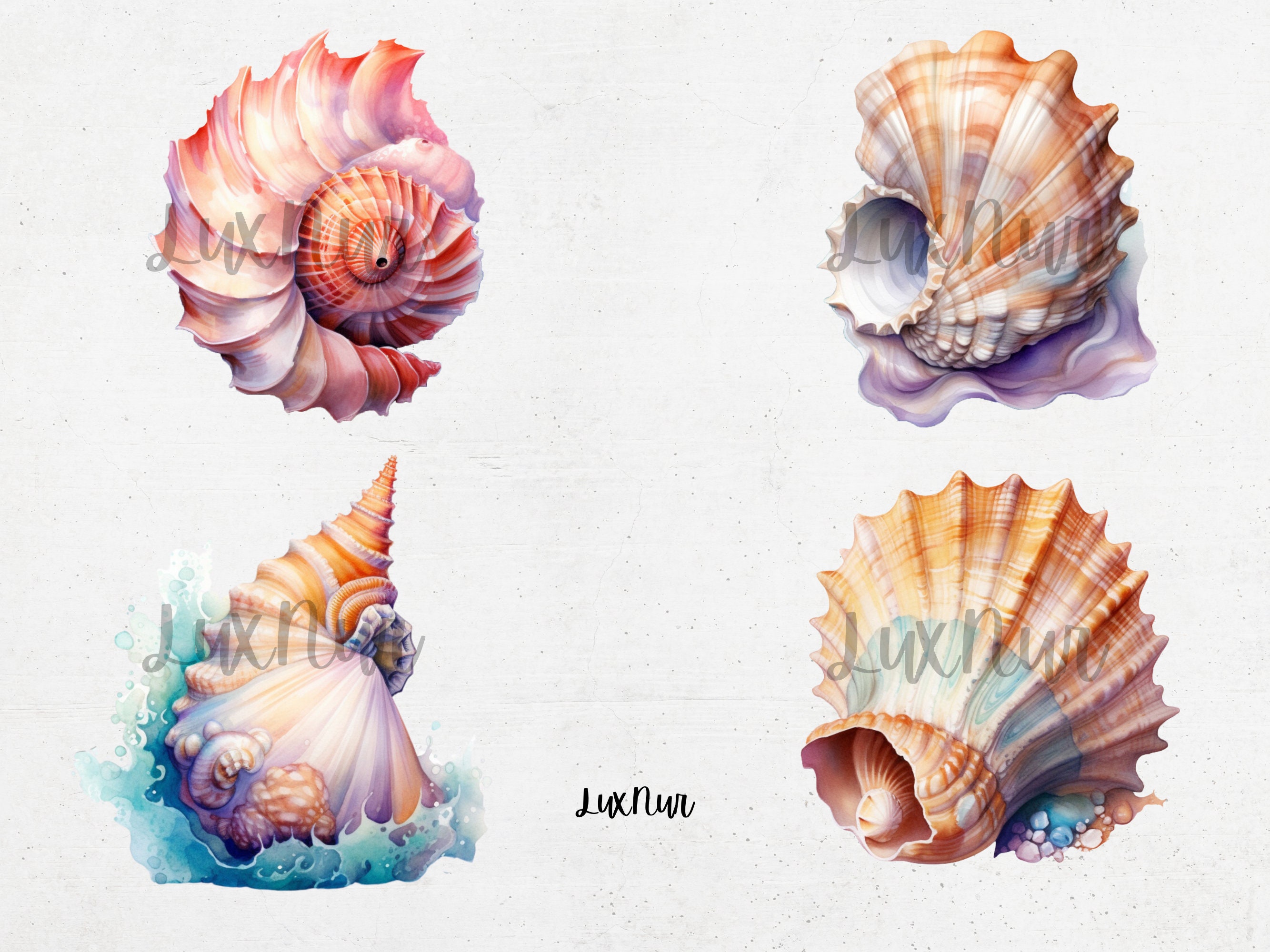Watercolor Sea Shells Clipart Printable Aqua Marine Conch - Etsy