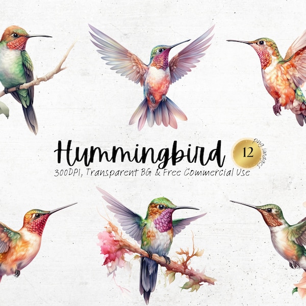 Watercolor Hummingbird Clipart, Printable Bird on Tree Png Art Print, Garden Junk Journal Handmade svg, Digital Download, Commercial Use