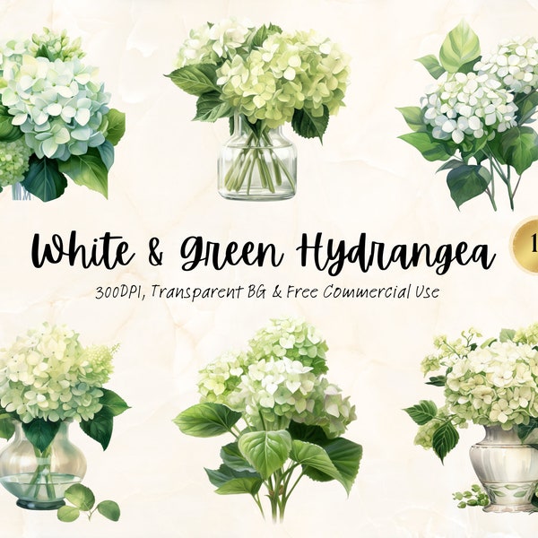 Watercolor White & Green Hydrangea Clipart Printable Floral Pastel Wedding Garden Botanical Junk Journal Homemade Svg Png Digital download