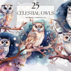 Aquarel hemelse uilen clipart, afdrukbare hemelse astrale vogel PNG, kosmische magische uil Art Print digitale download SVG commercieel gebruik