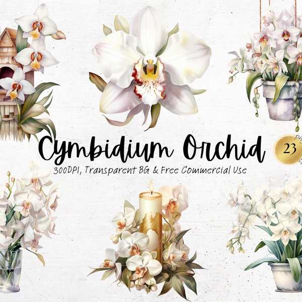 Watercolor Cymbidium Orchid Clipart, Printable White Spring Flower Art Print Png, Nature Botanical Floral Junk Journal Handmade Digital Svg