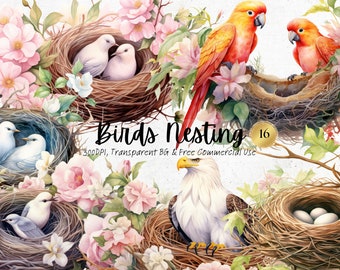 Watercolor Birds Nesting clipart, Printable Bird on Tree Png, Nature Floral Botanical Art Print Digital Download Svg Free Commercial Use