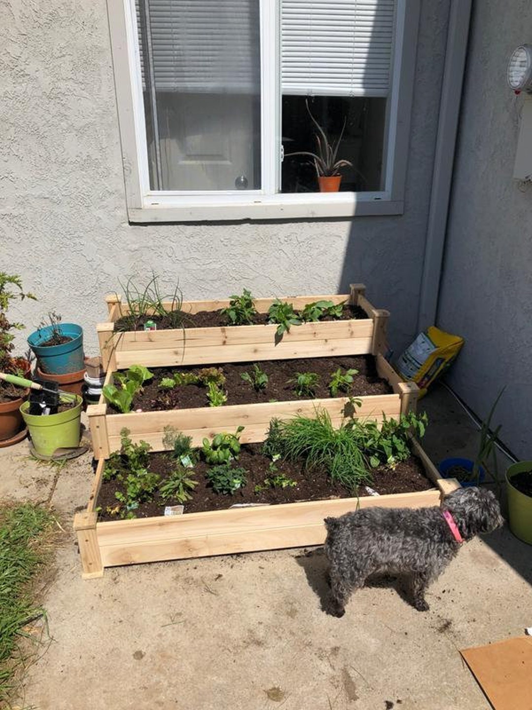 3tier Raised Fir Wood Garden Bed Planter Etsy