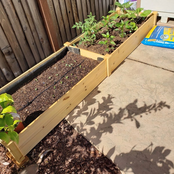 Jardinière surélevée en bois pour jardin, pelouse, cour - 8x2ft